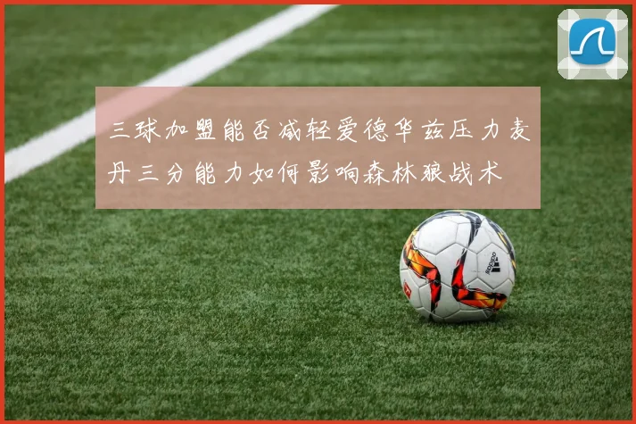 三球加盟能否减轻爱德华兹压力麦丹三分能力如何影响森林狼战术